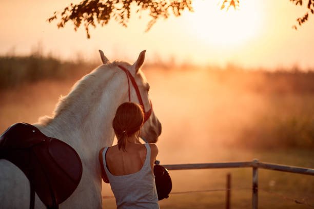 make your dreams come true and grow your horse business