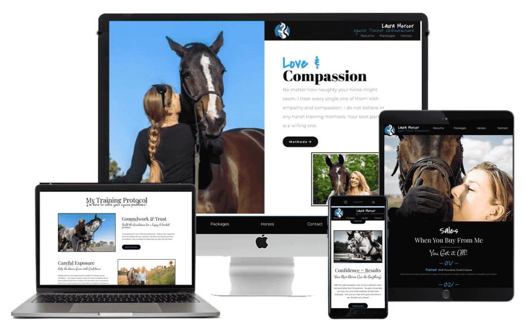 build a beautiful website for your horse training business template