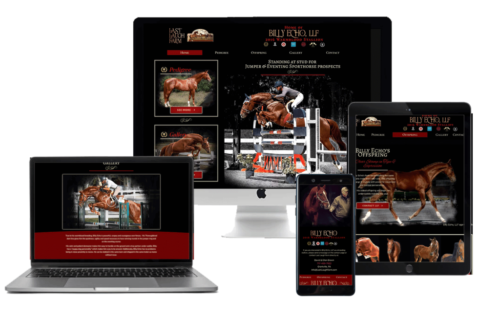 create a website to sell your stallion