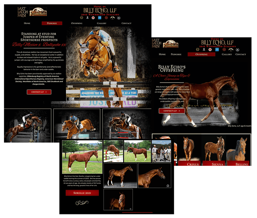 horse breeders need websites