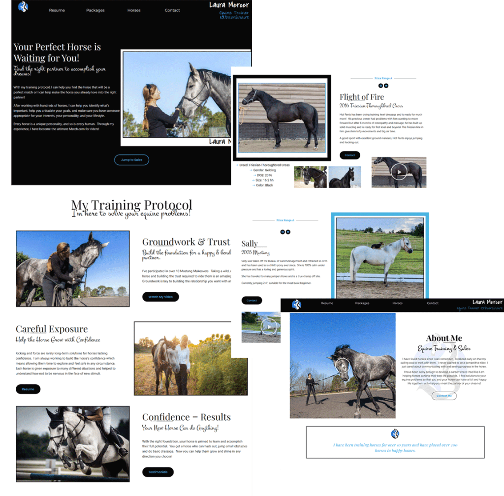 create a gorgeous sales page for your horses